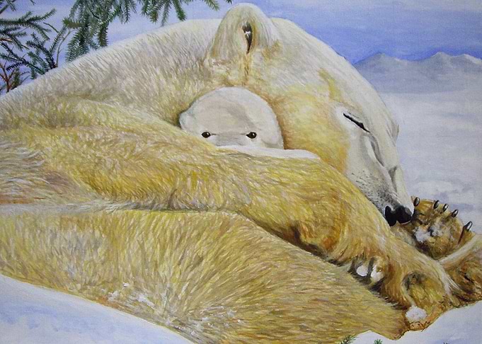 Mum and cub Polar bears