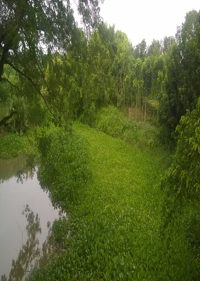 my village so cool isnt it