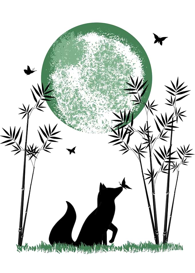 Fox and Moon