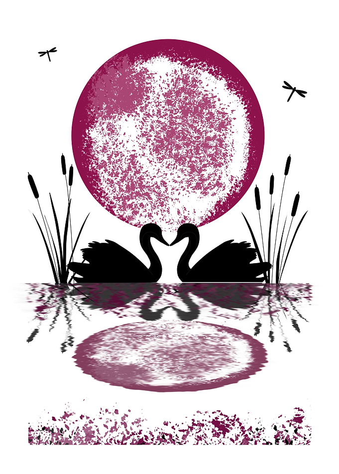 Swans and Moon