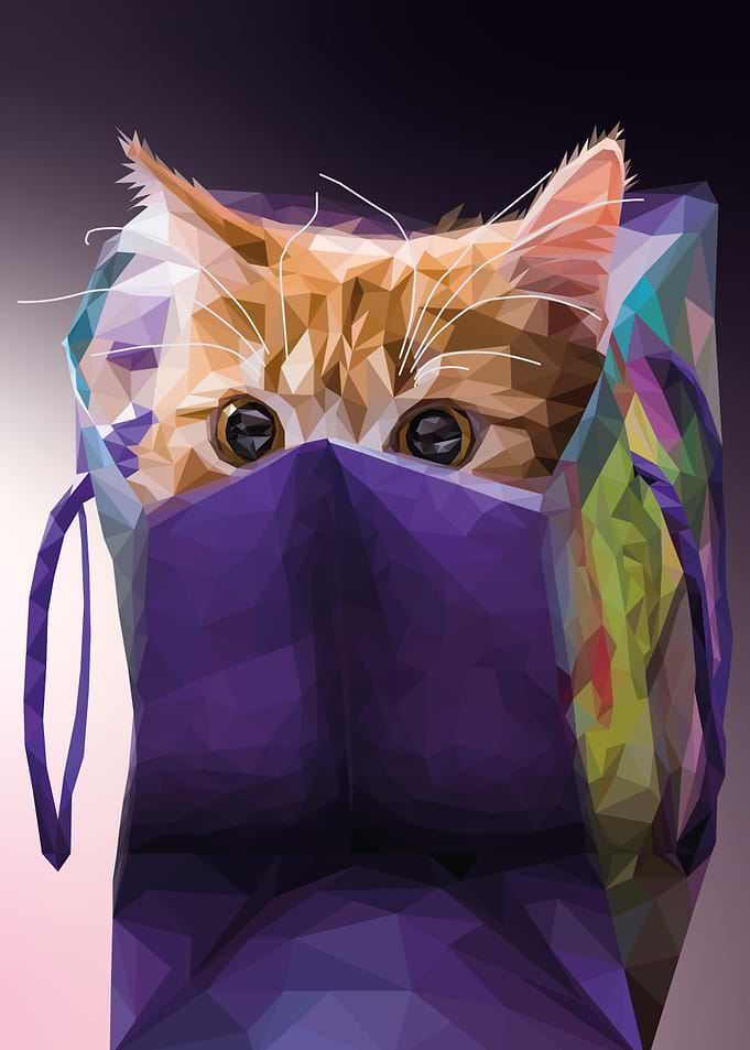 Cat in bag