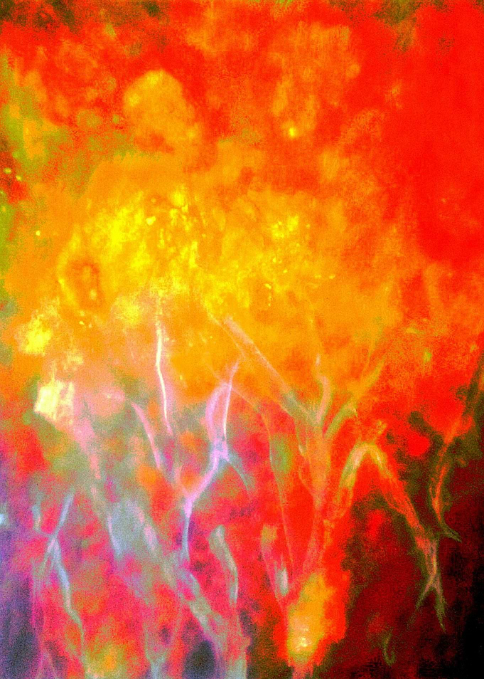 Firestorm