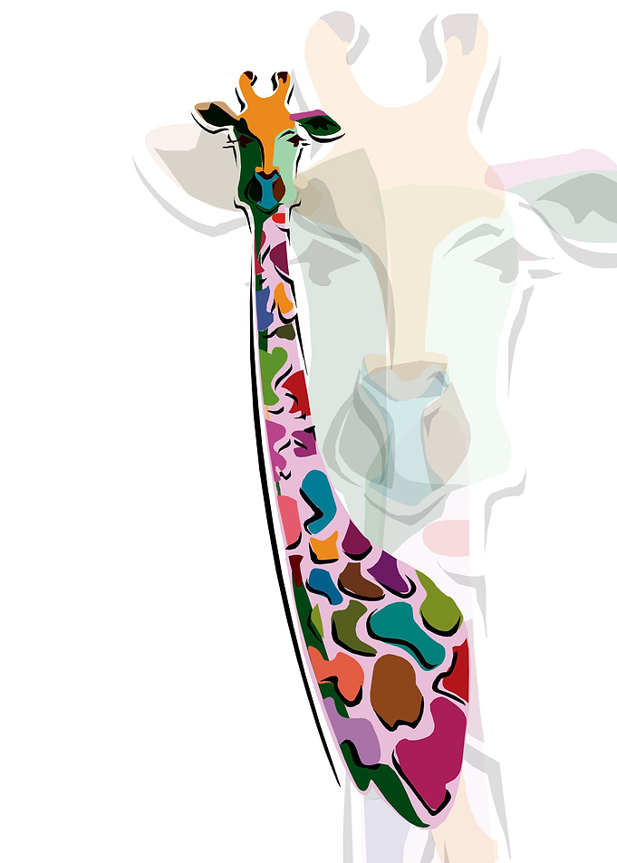 giraffe