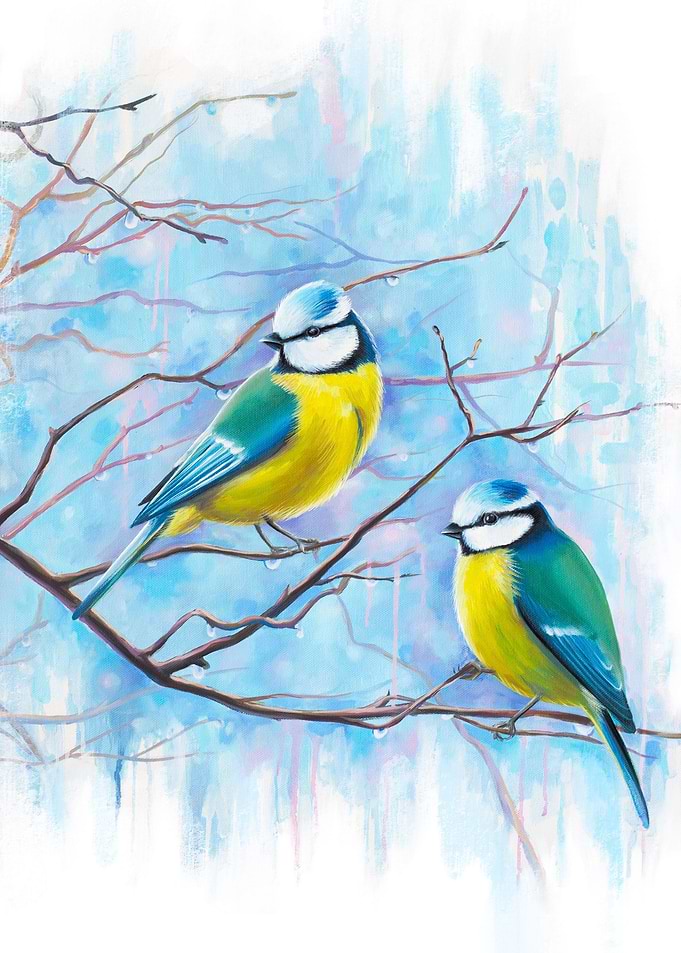 Eurasian blue tits