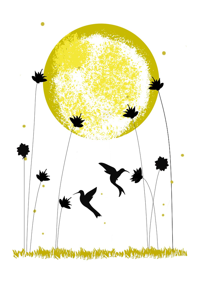 Hummingbirds and Moon
