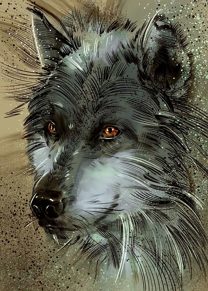 Wolf