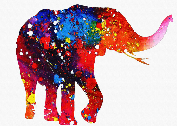 Elephant