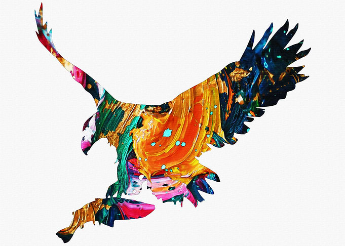 Eagle preys on Fish