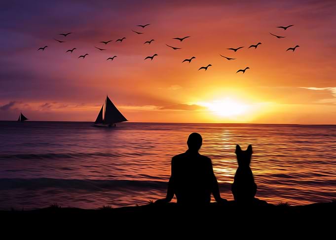 Sunset Friendship
