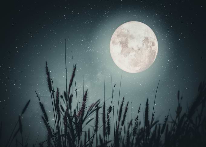 The Moon