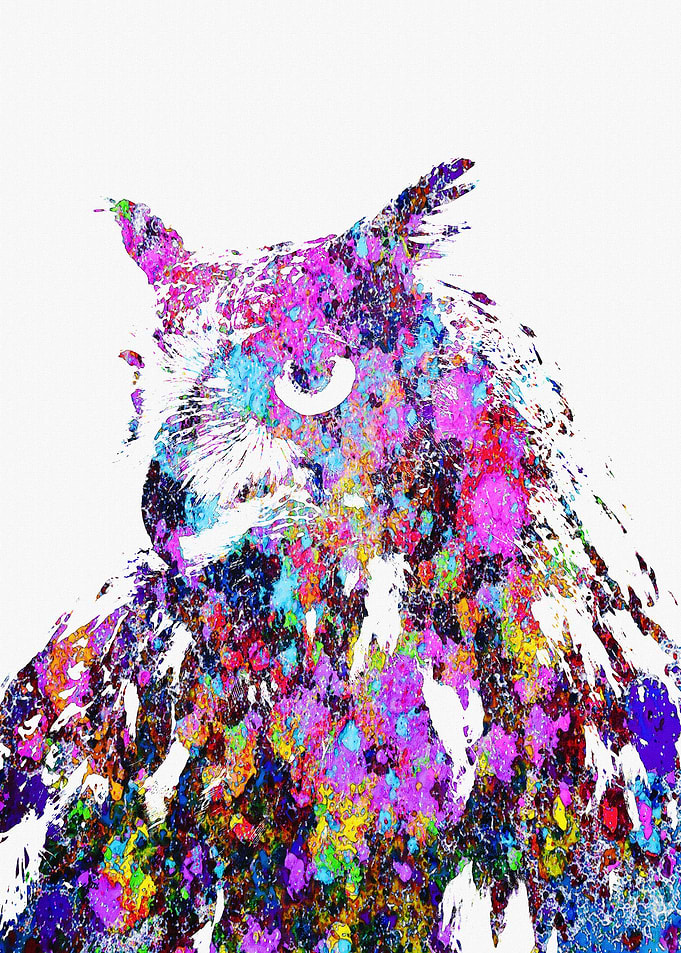 owl