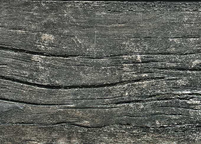 Wood texture background