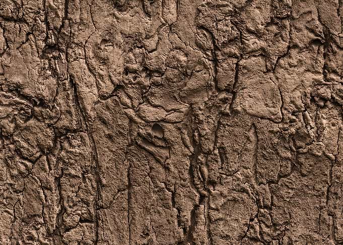 Wood texture background