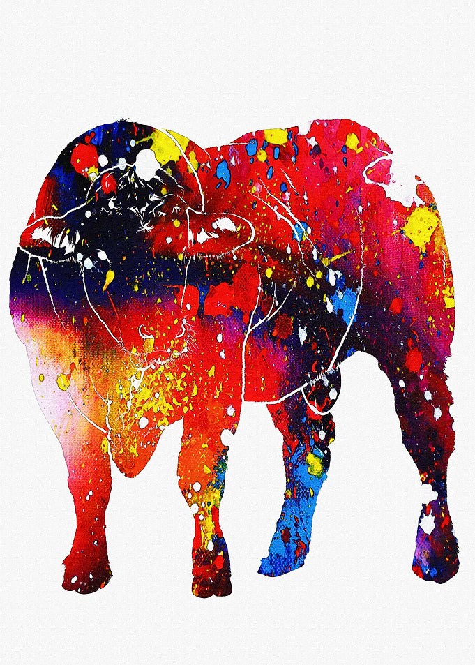 Bull