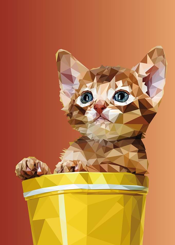 Cat in pot