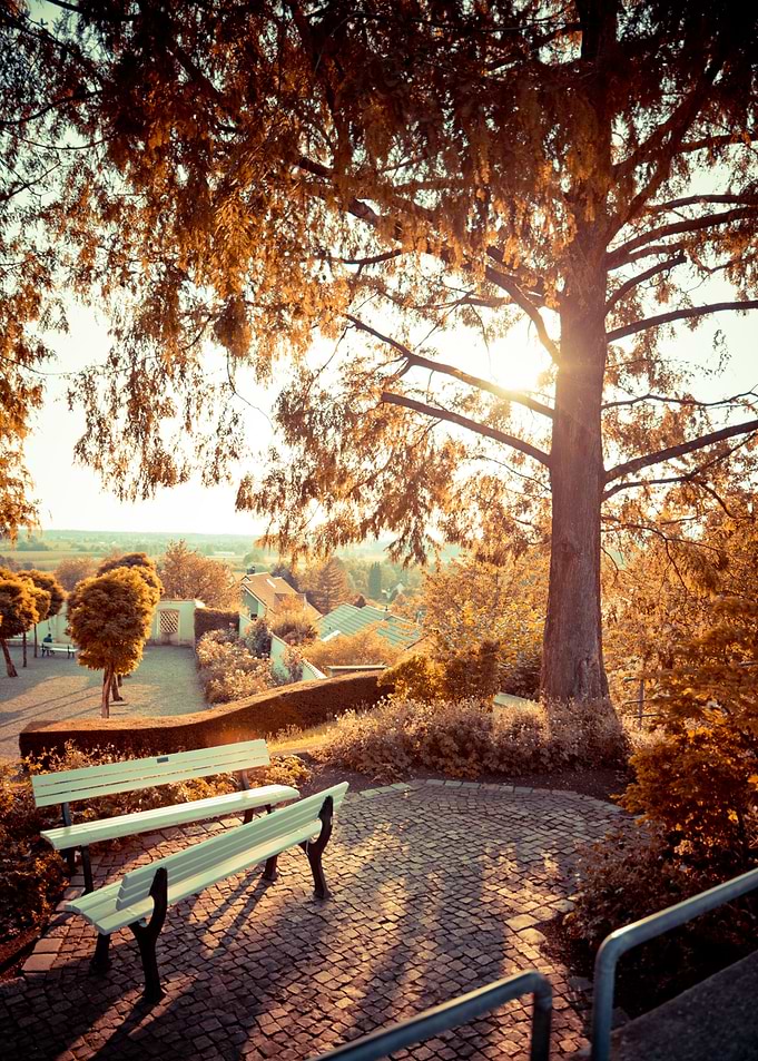Autumn in the park