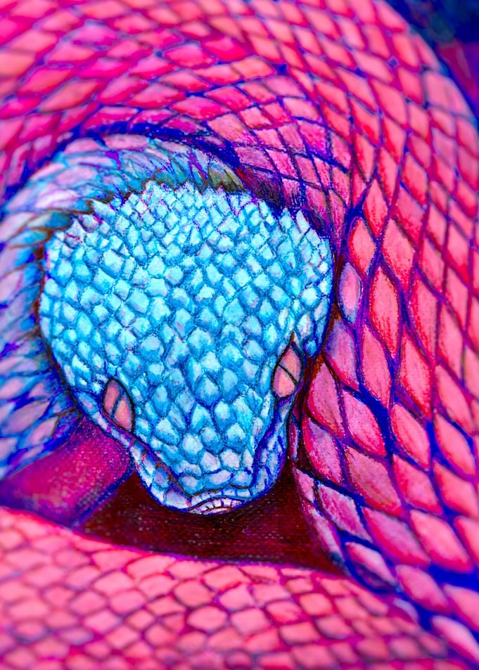 Snake fluo