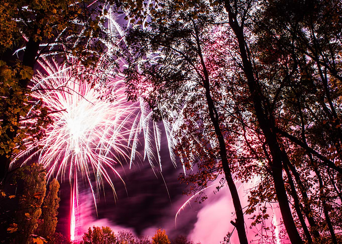 Firework Night
