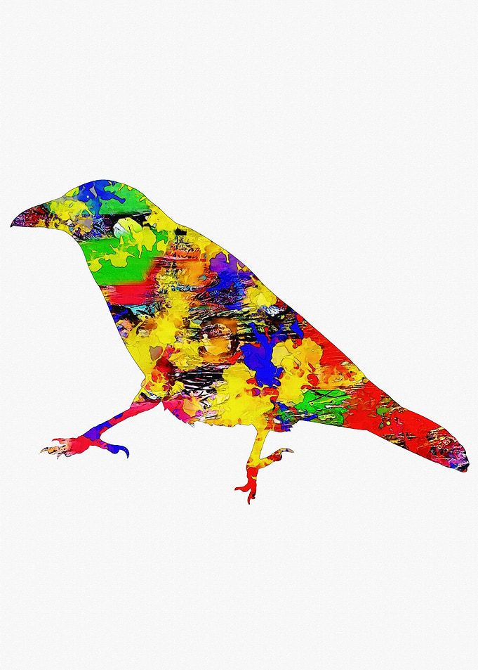 crow