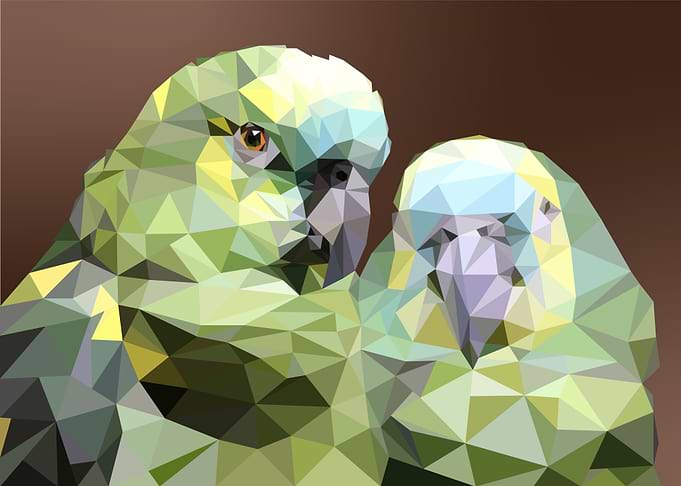Macaws