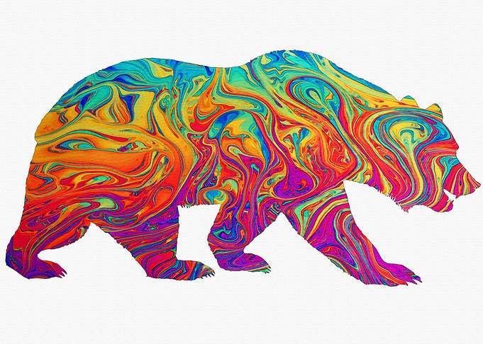 Bear