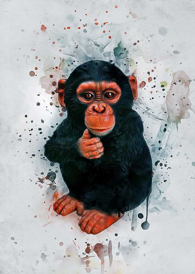 Baby Chimpanzee