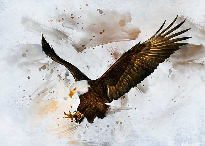 Voice of The Eagle