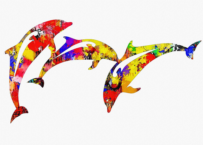 Dolphin
