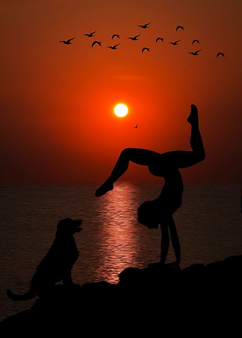 Sunset Simphony