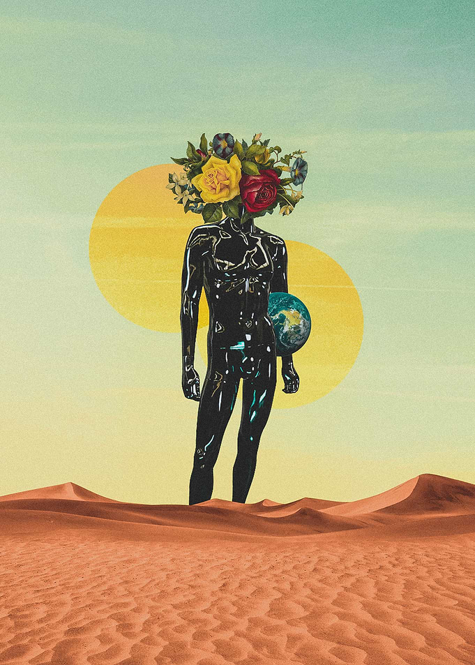 The Dreamer