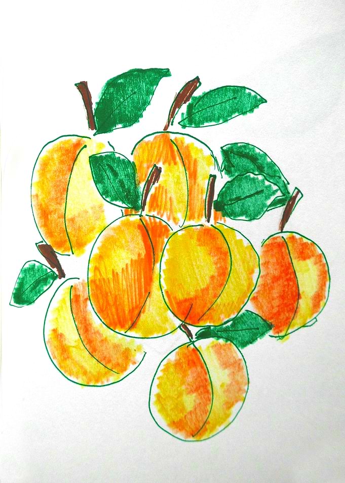 Summer apricots