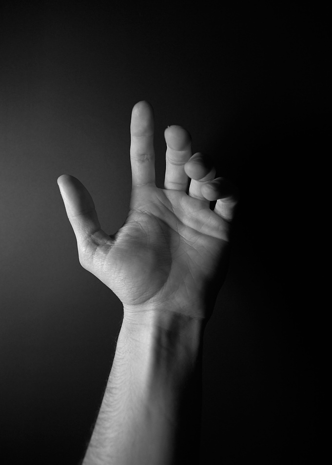 The Human Hand