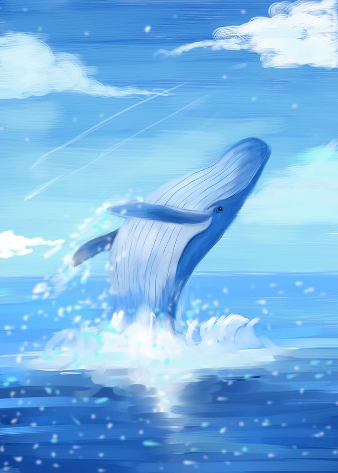 Whale jumps out of water