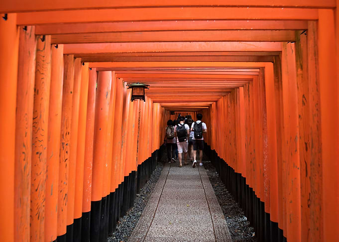 Torii Dreams