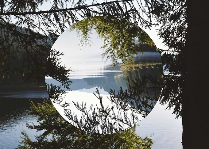LENS Branches