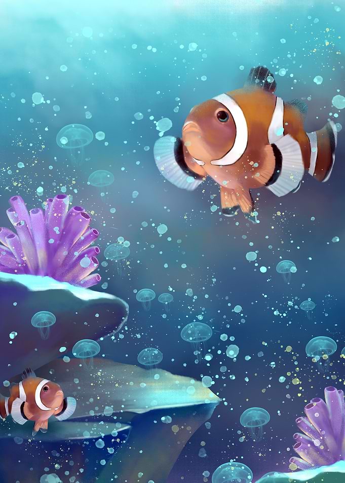 Clownfish Fish jellyfish