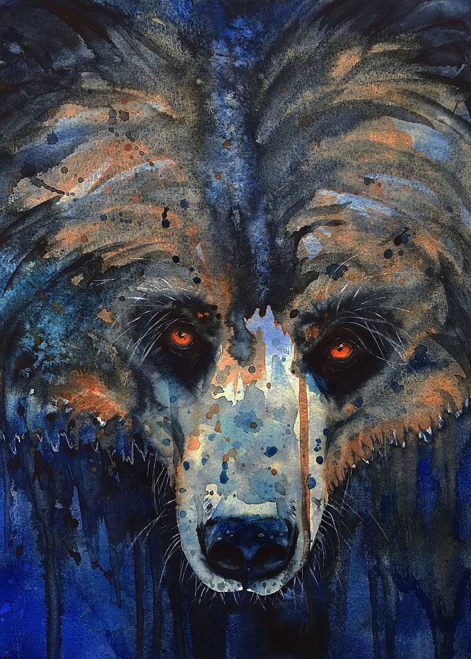 Grizzly Bear