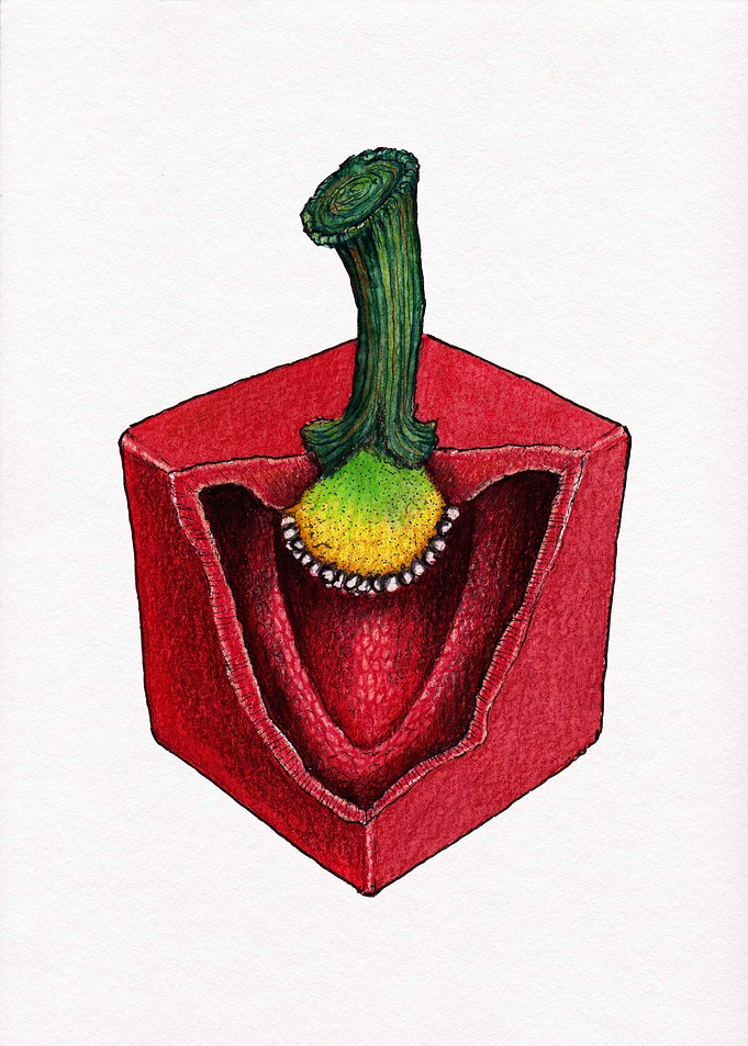 Paprika Cube