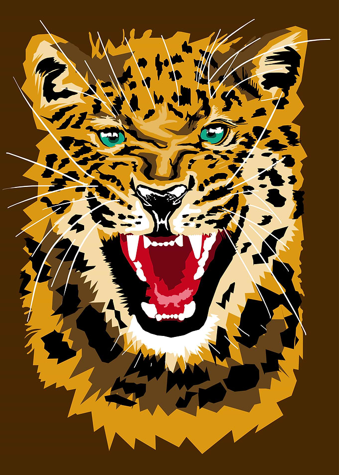 illustration angry leopard