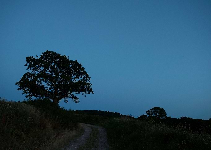 Dusk in Devon