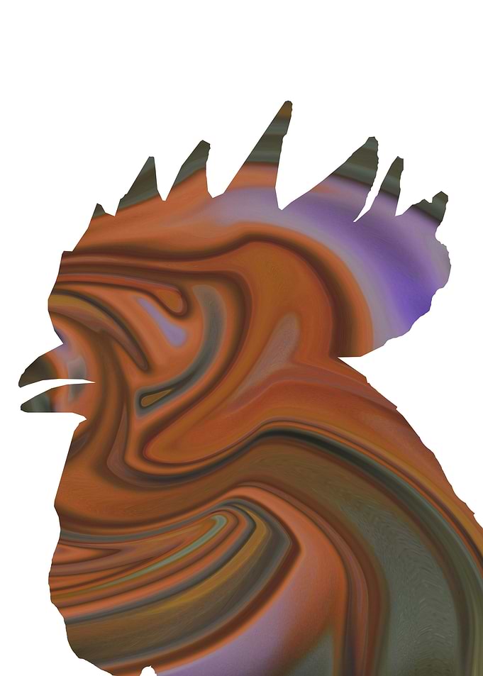 chiken liquid art