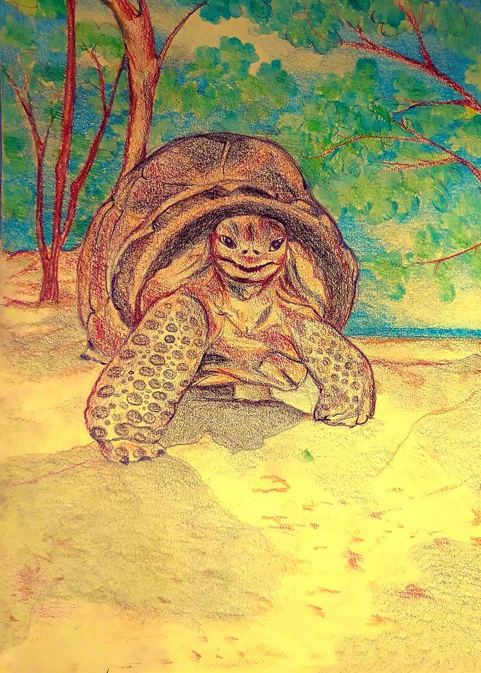 Turtle
