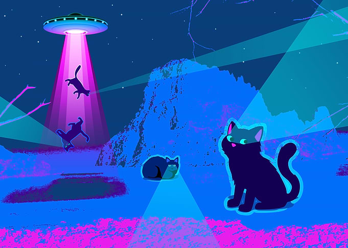 Space cats