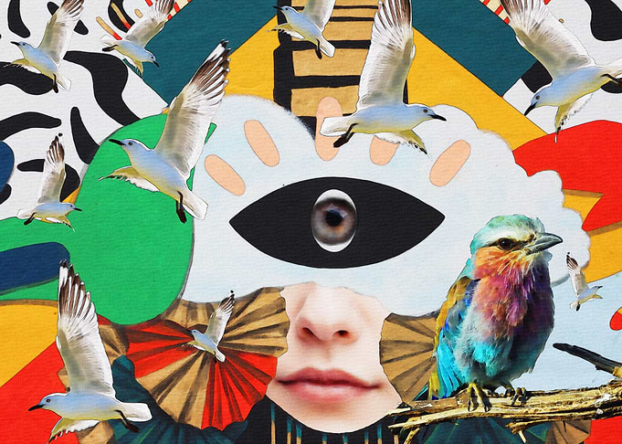 im like eye bird