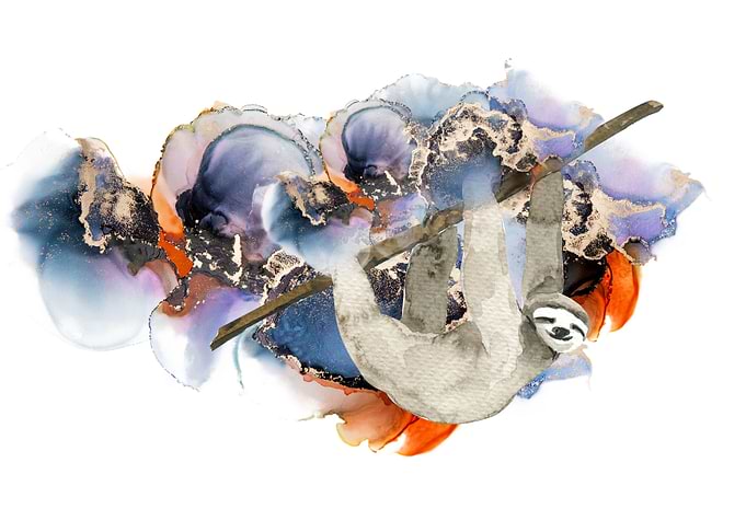 Watercolor Sloth