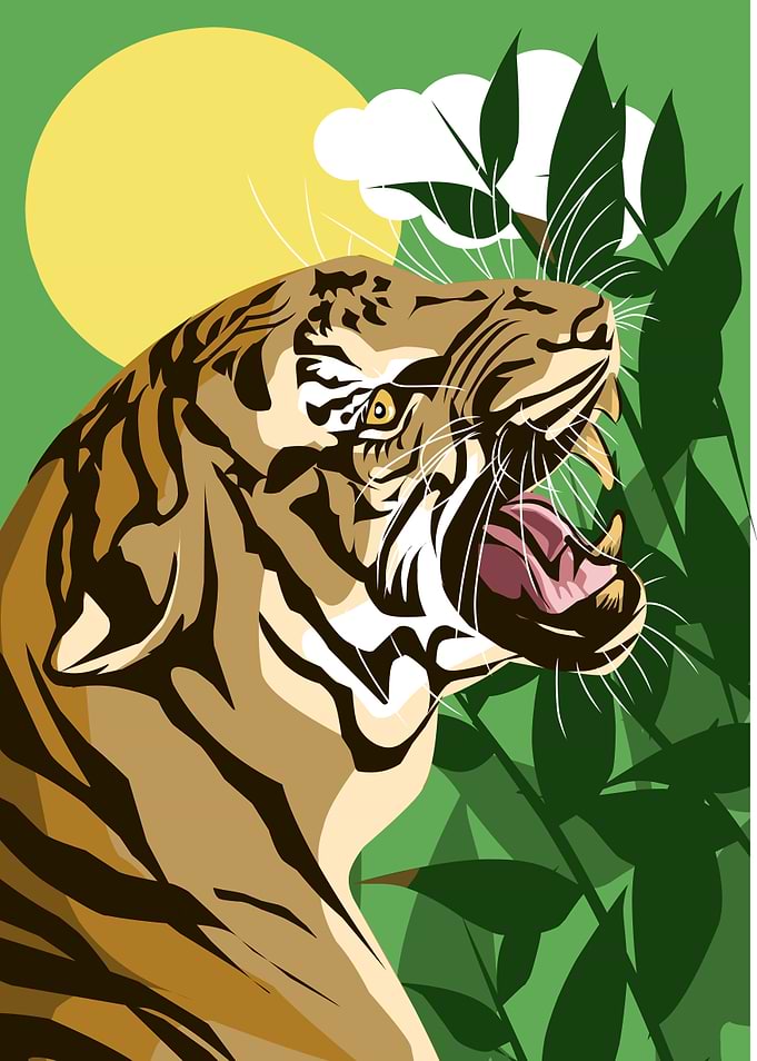 illustration of tiger
