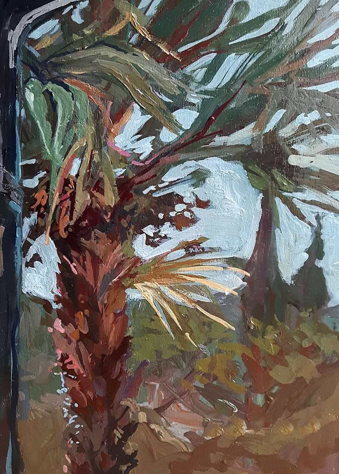 Italian palm