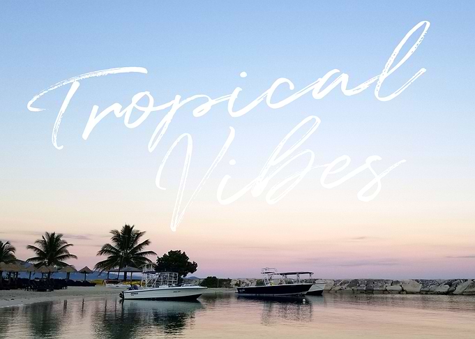 Tropic Vibes