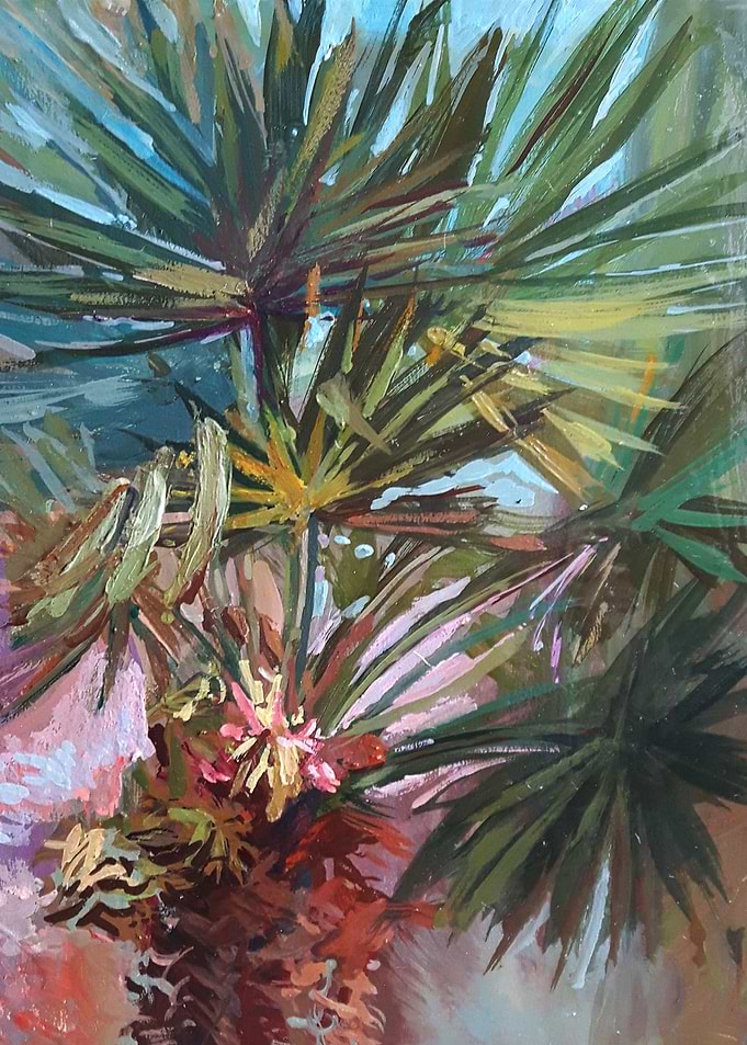 Italian palmtree