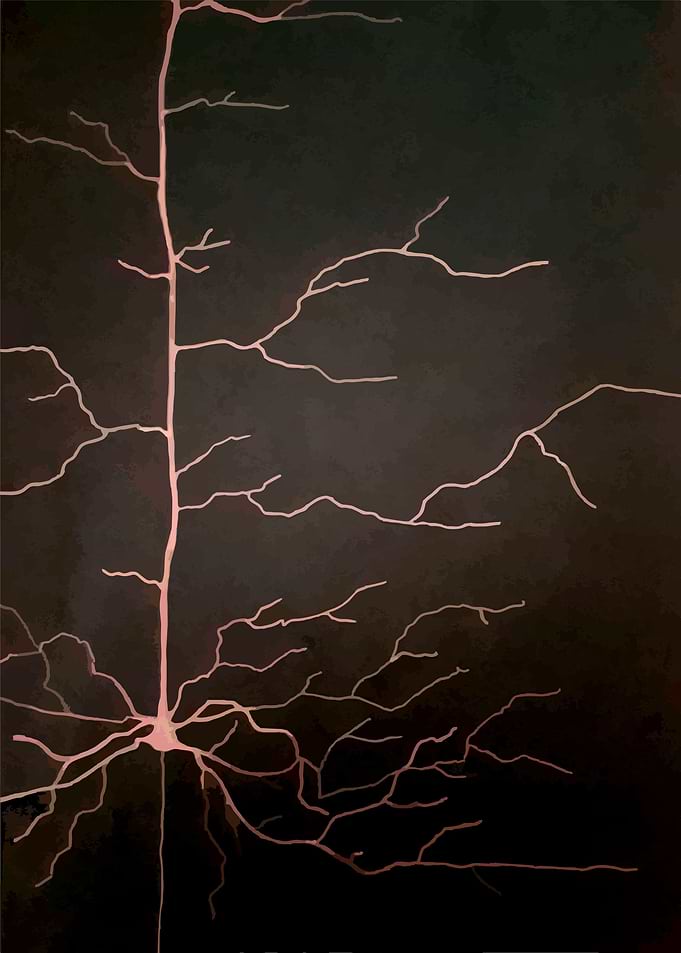 Shiny Neuron